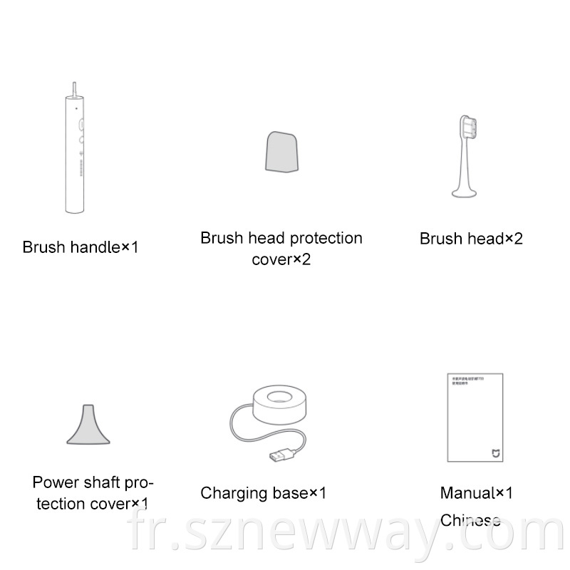 Electric toothbrush